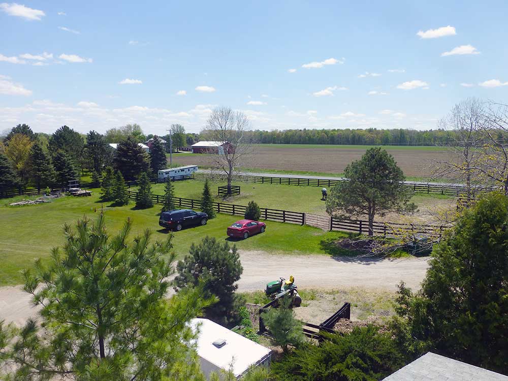 Welcome To Four Winds Equine Hospital!