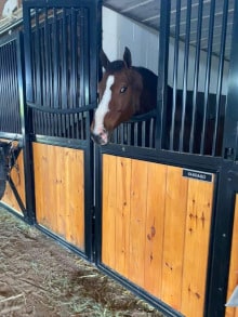 Four Winds Farm & Equine Hospital
