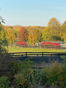 Four Winds Farm & Equine Hospital