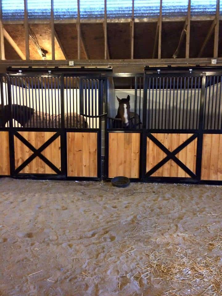 Four Winds Farm & Equine Hospital