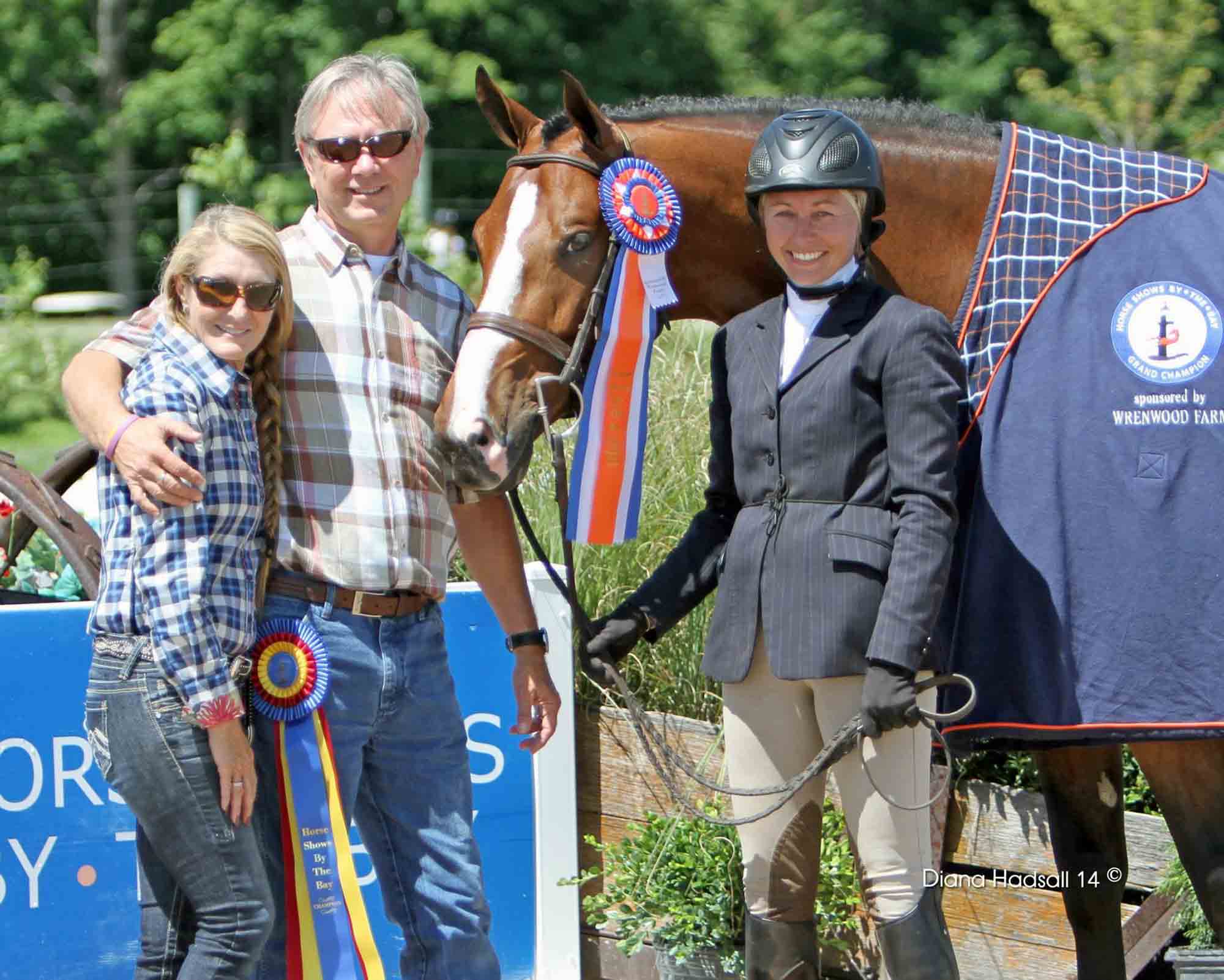 Horse Team