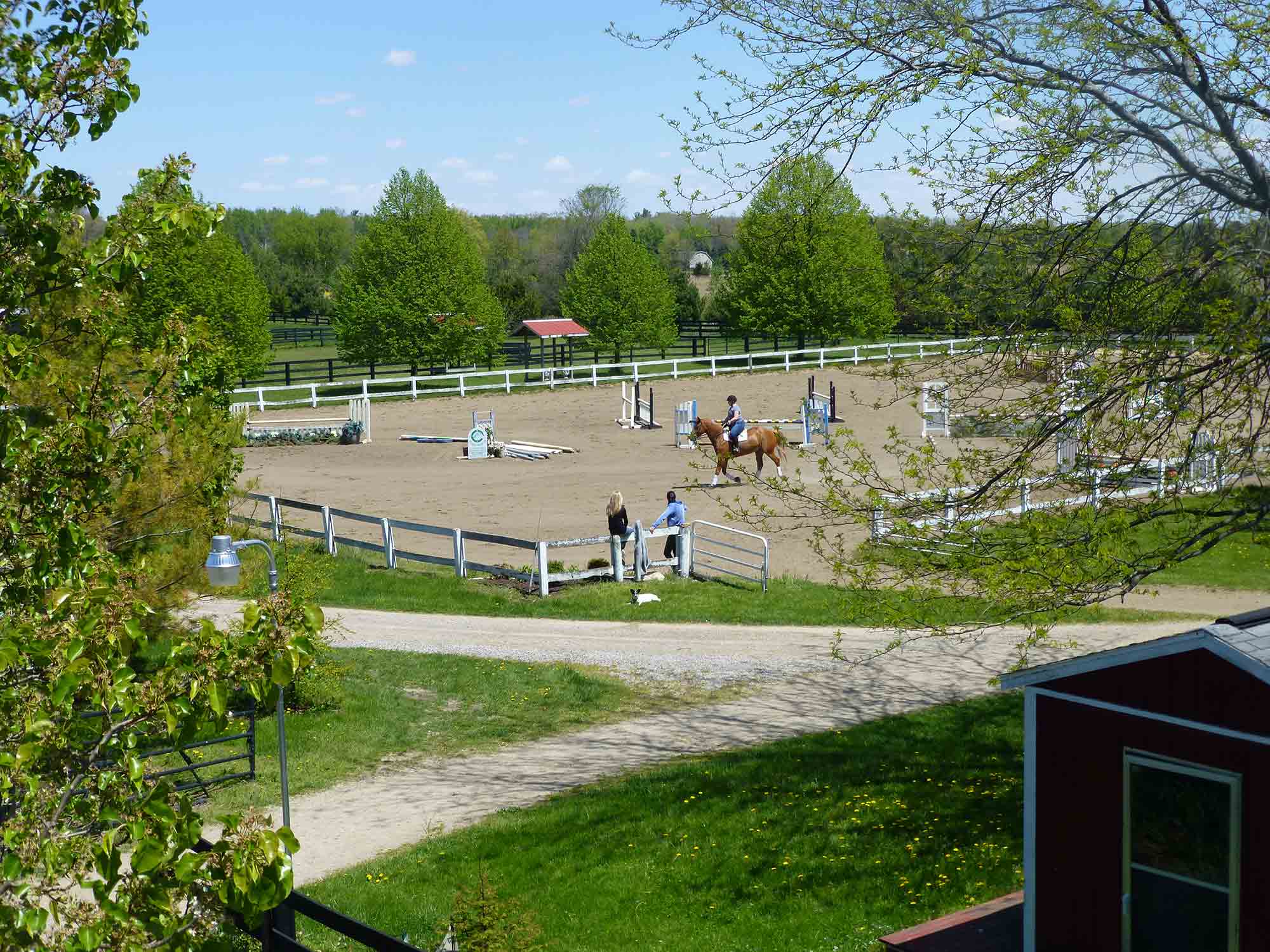 Four Winds Farm & Equine Hospital