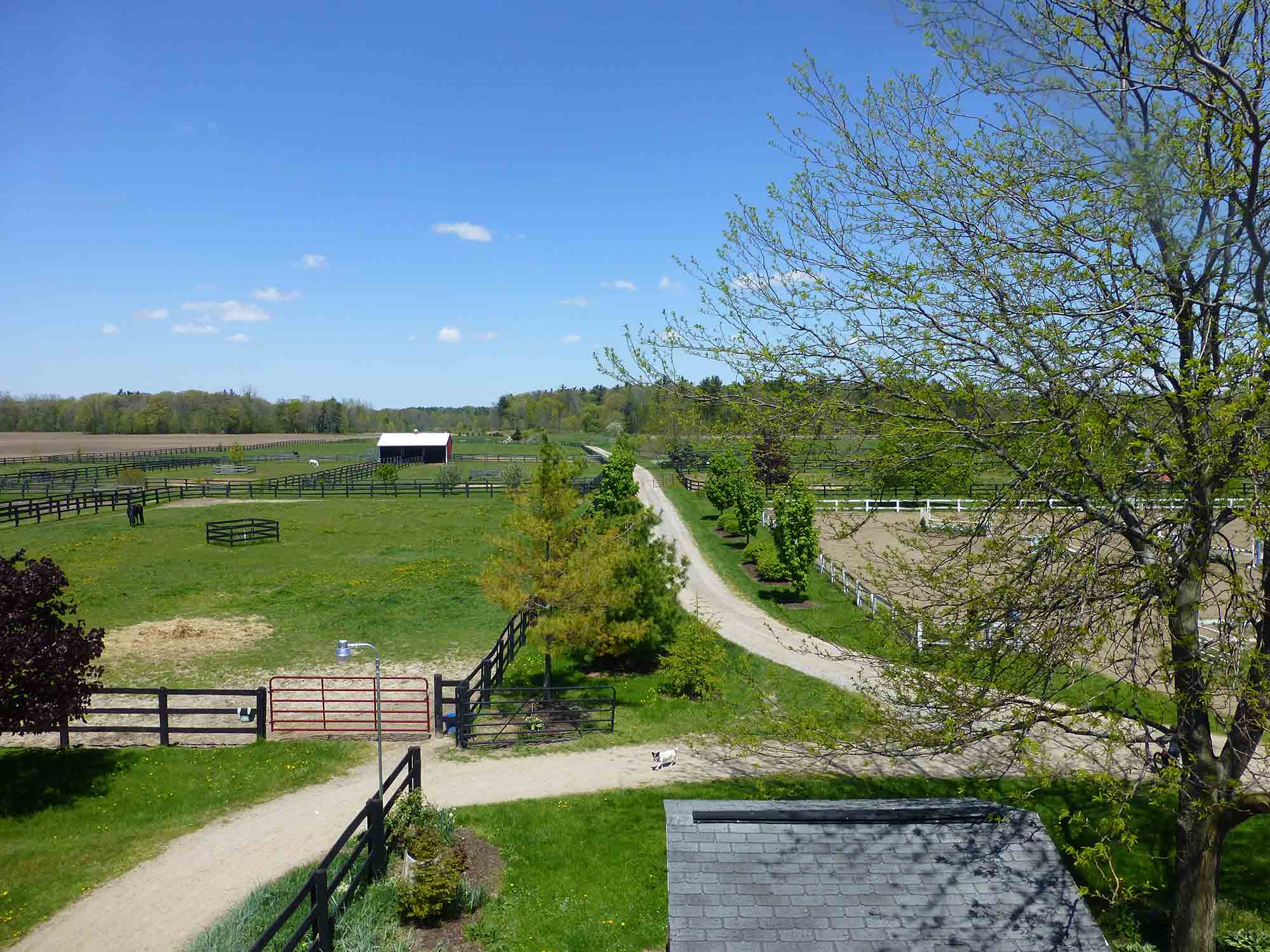 Four Winds Farm & Equine Hospital